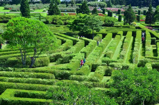 Taman Bunga Nusantara Taman Bunga Nusantara