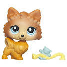 Littlest Pet Shop Singles Pomeranian (#1599) Pet