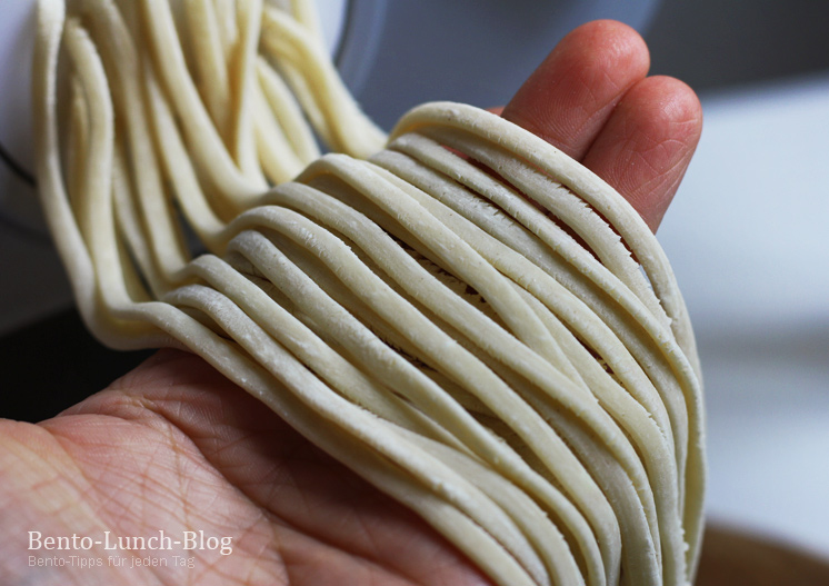 Bewust worden Vergoeding Controversieel Bento Lunch Blog: Rezept: Udon, japanische dicke Weizennudeln aus dem  Philips Pastamaker