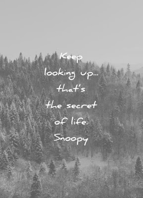quotes quotes