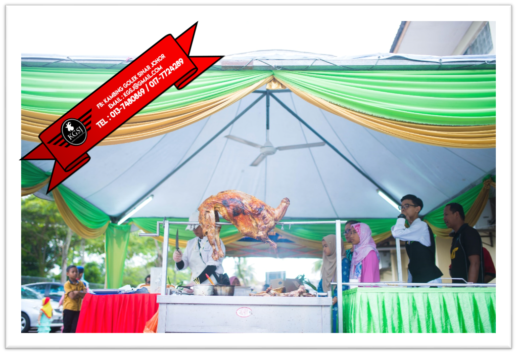 KAMBING GOLEK WARISAN JOHOR KAMBING GOLEK SINAR JOHOR