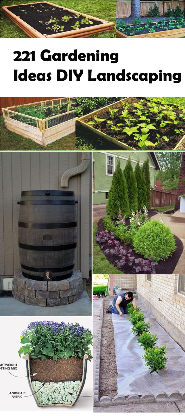 28 Gardening Ideas DIY Landscaping - A Blog on Garden 28 Gardening Ideas DIY Landscaping - A Blog on Garden