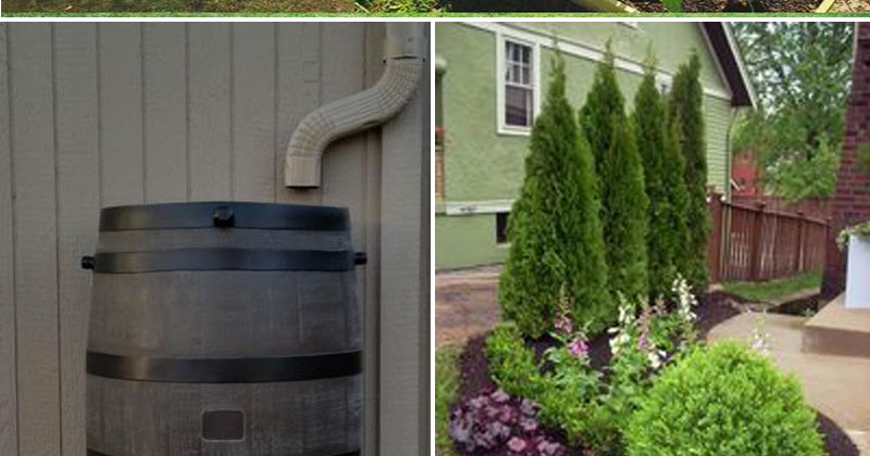 221 Gardening Ideas DIY Landscaping - A Blog on Garden