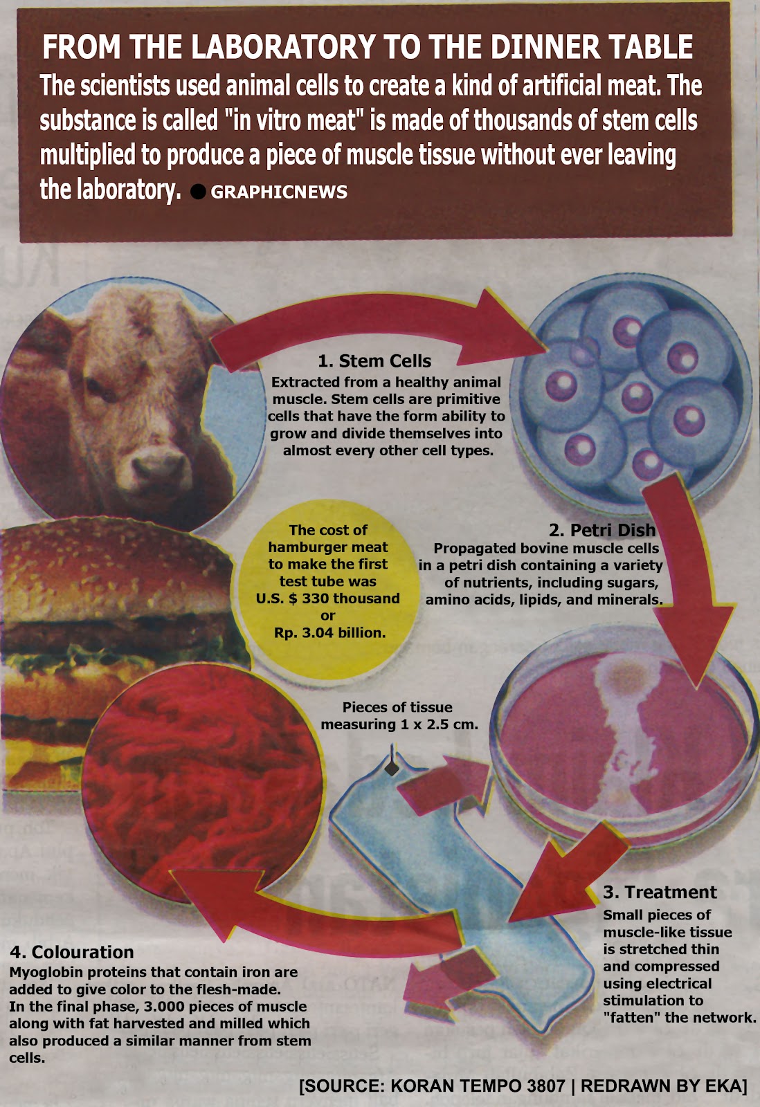 Growing of Artificially Meat in the Laboratory