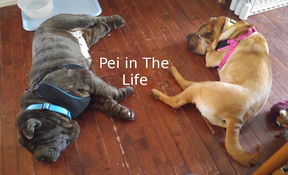 Pei In The Life