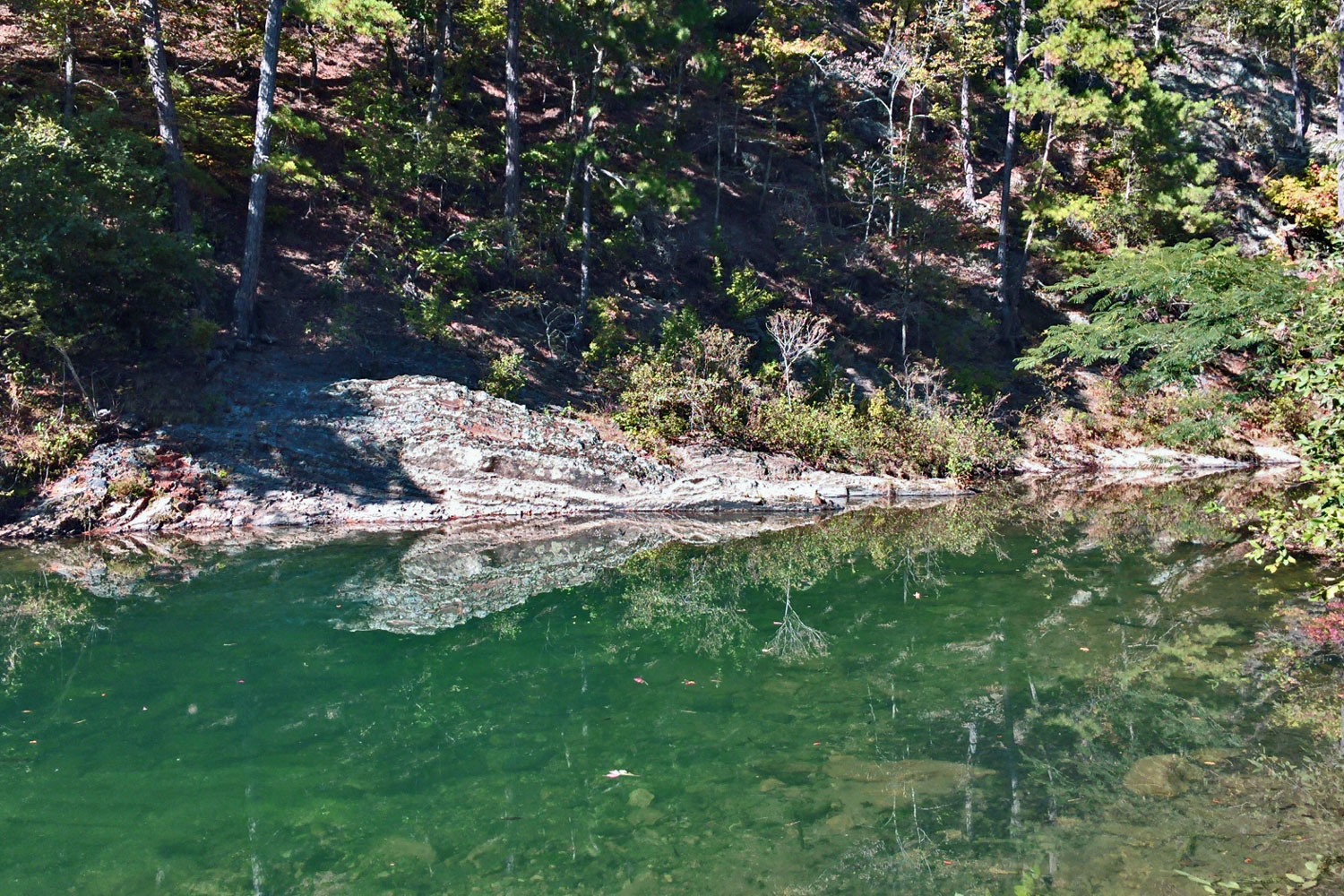 An Arkies Musings Caney Creek Wilderness Area