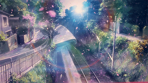 5cm2.gif