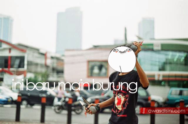 main%2Bbird main%2Bbird 5 Pertanyaan Yang Biasa di Denger Jomblo