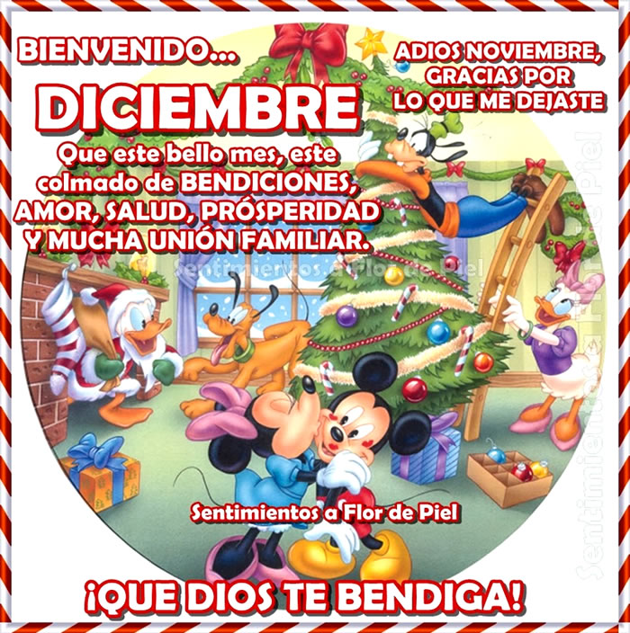 Ver las imágenes de origen