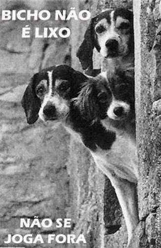 Prece-de-um-cao-abandonado.jpg