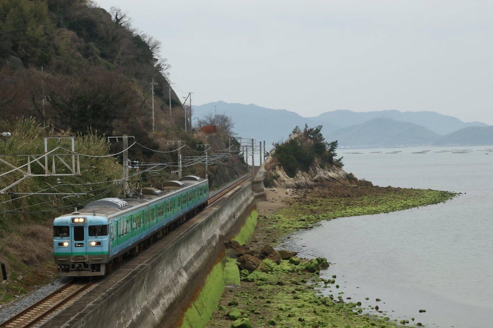 気の向くまま 赴くまま Train Diary Jr四国113系 Jr西日本湘南色115系