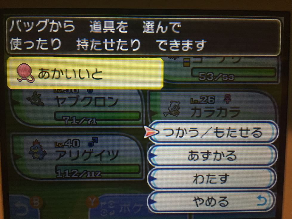 ポケさんぽ ポケットモンスター サン 22 殿堂入り後 きんのおうかん って裸の王様