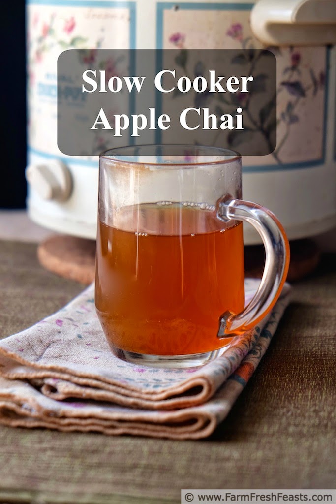 http://www.farmfreshfeasts.com/2014/10/slow-cooker-apple-chai-for-crowd-or.html