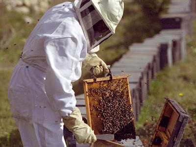 apicultores2.jpg