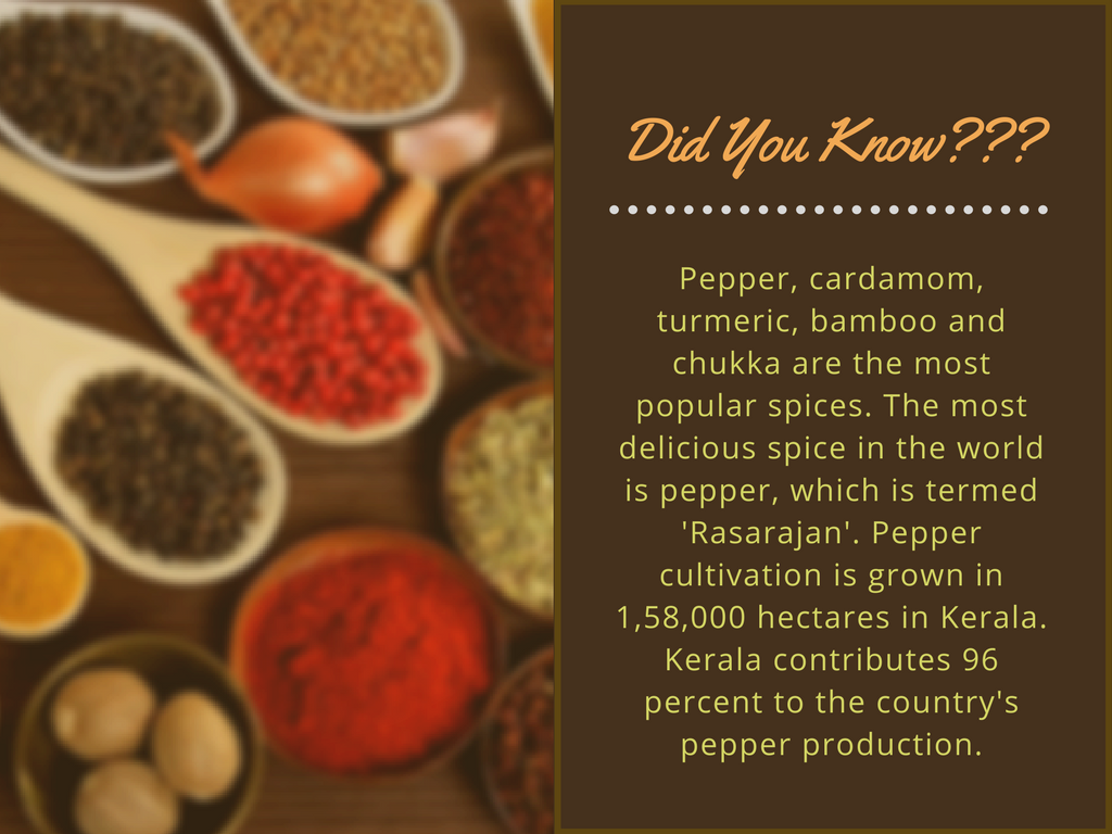 Buy Online Spices in India The Land Of Spices