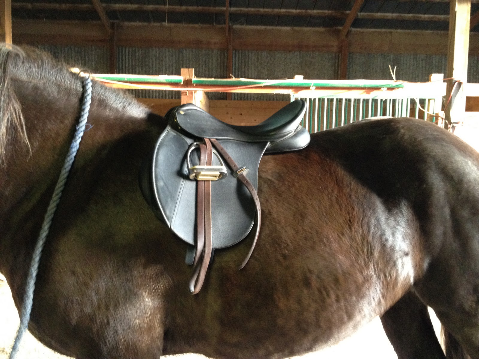 Super Size My Cob Benefits of Adjustable Saddles