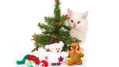 Kat bij de kerstboom