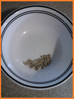 Grain removed from stem and sitting within a small white bowl