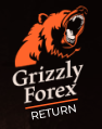 Лого grizzlyforexreturn обзор