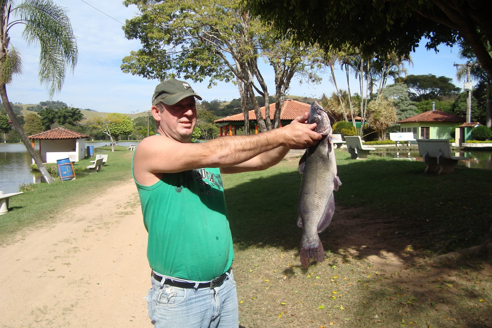 Nene Oliani CATFISH, BAGRE AMERICANO