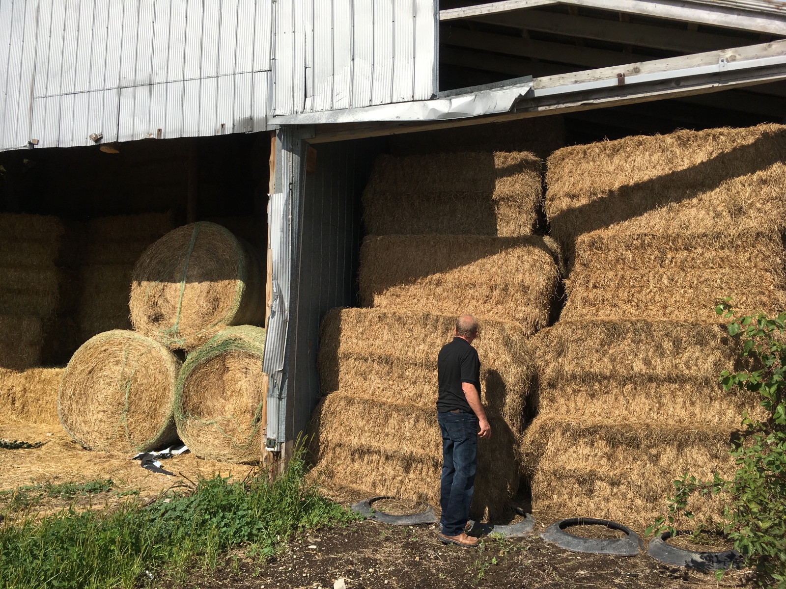 Anja's Photo Journal Elmira Produce Auction
