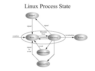 Process Stages of linux and windows