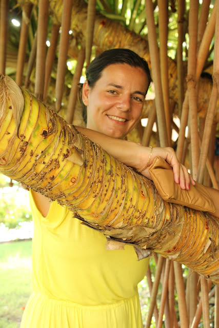 Robe kookai jaune, Punta Cana, Grand Bahia Principe Bavaro