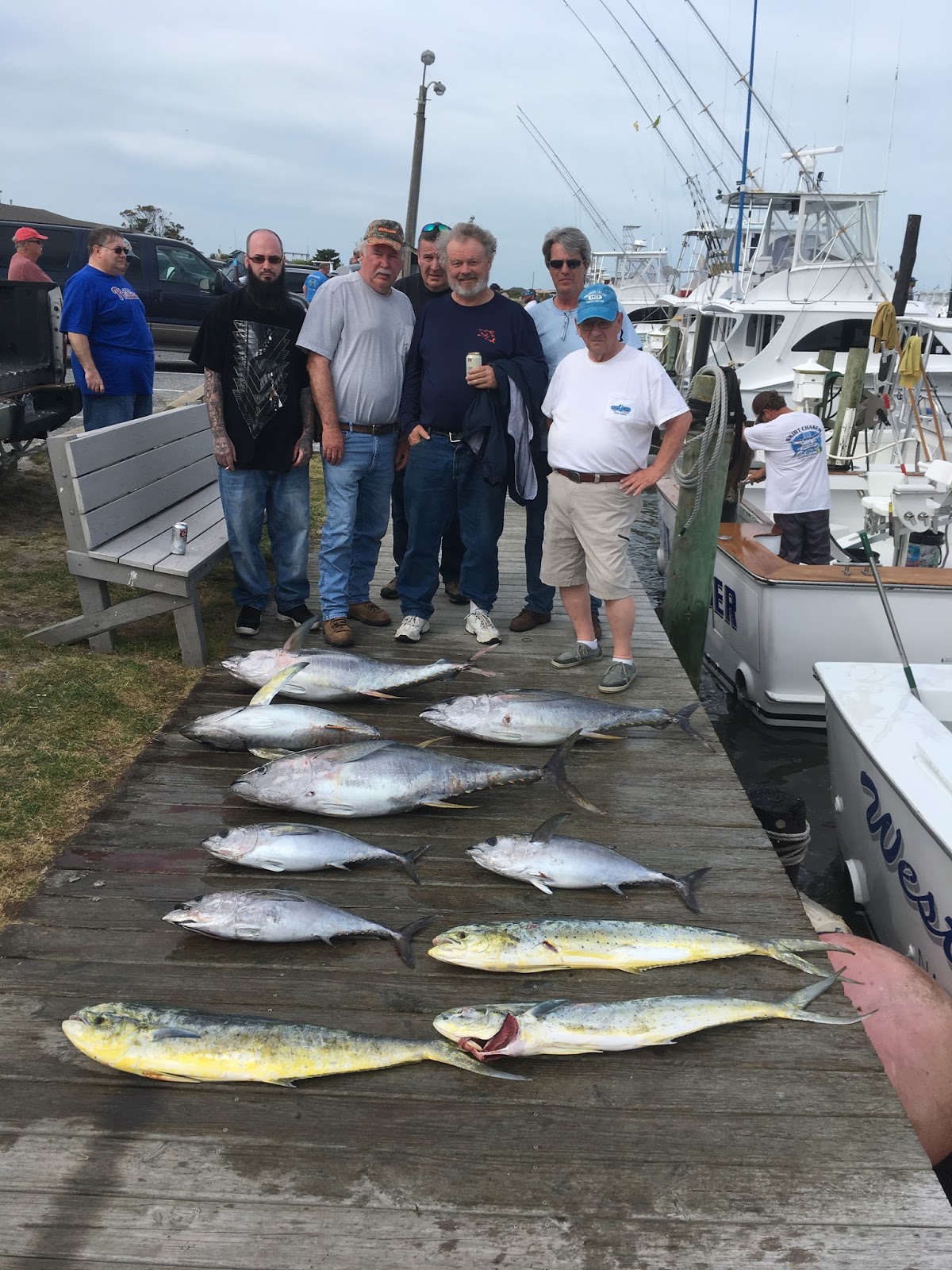 Outer Banks Fishing Charter Blackfin Tuna and Dolphin
