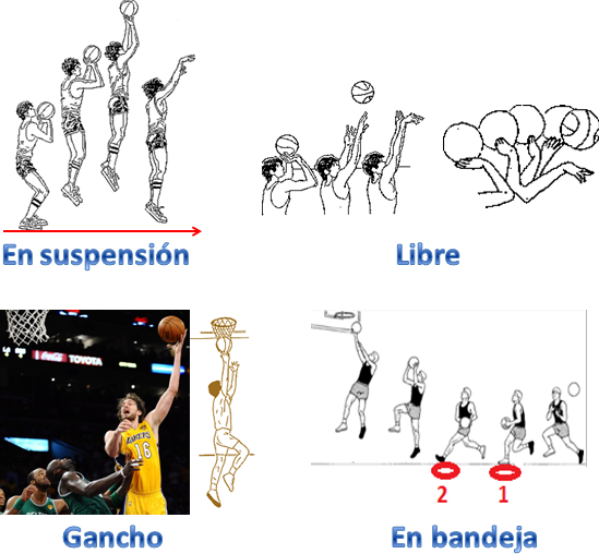 Blog de EDUCACIÓN FÍSICA danicarmor HABILIDADES EN EL BALONCESTO