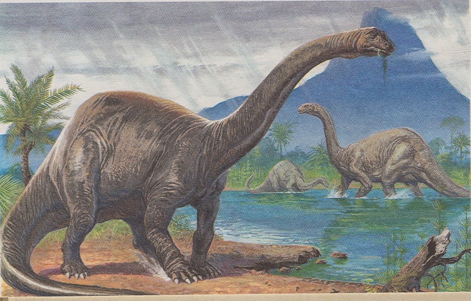 Recomendación Duquesa Sureste Fundacion Dinosaurios Cyl: El mítico brontosaurio vuelve a ser un dinosaurio
