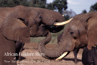 Africa houses over 85% of the world’s elephants. African folklore storytelling recounts the adventures of how the African elephant got its' trunk. Africa houses over 85% of the world’s elephants. African folklore storytelling recounts the adventures of how the African elephant got its' trunk.