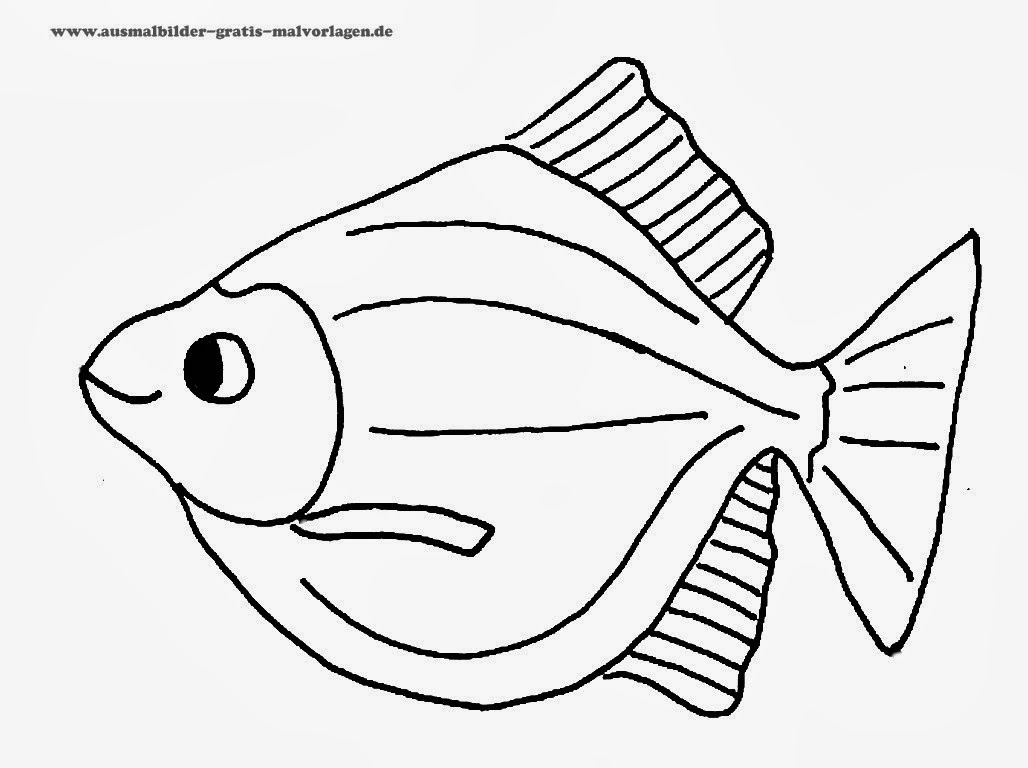 MALVORLAGEN FISCH