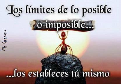 Salud Emocional: IRIS. Blog José Manuel Párraga Sánchez: ¿Que es