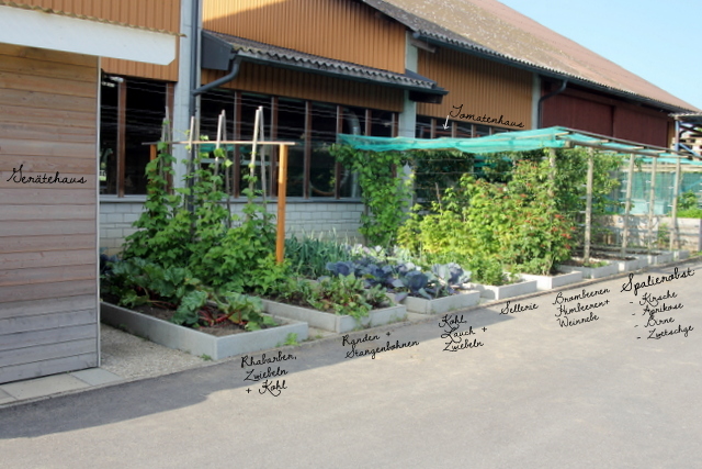 Vater's Garten