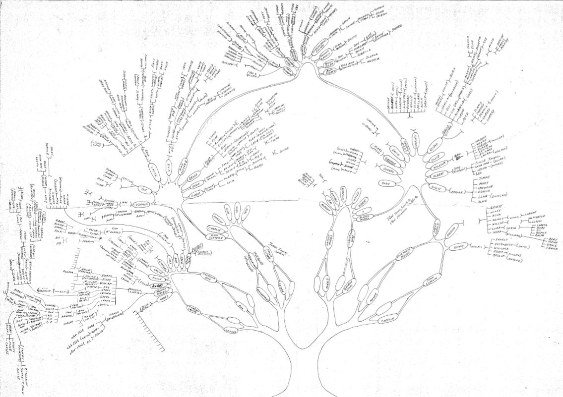 clmroots CotterMorris Pedigree Chart