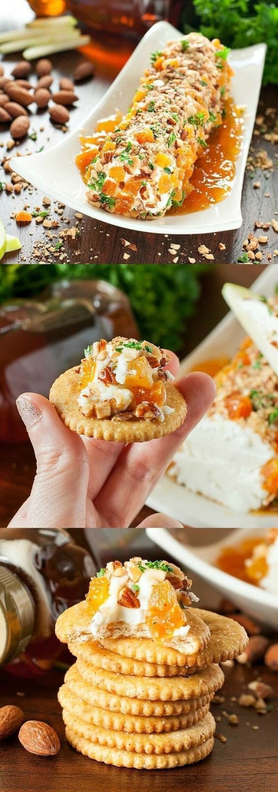 Honey, Apricot, and Almond Goat Cheese Spread - This easy, cheesy appetizer takes only a few minutes to make!