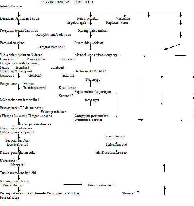 PATOFLOW: PATOFLOW DHF