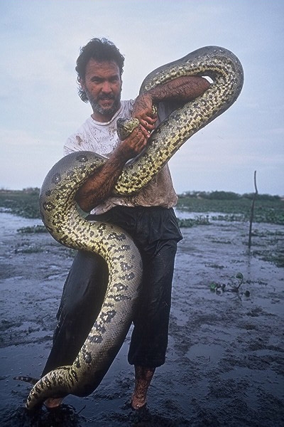 Amazing Green Anaconda - Giant Anaconda Facts, Photos, Information