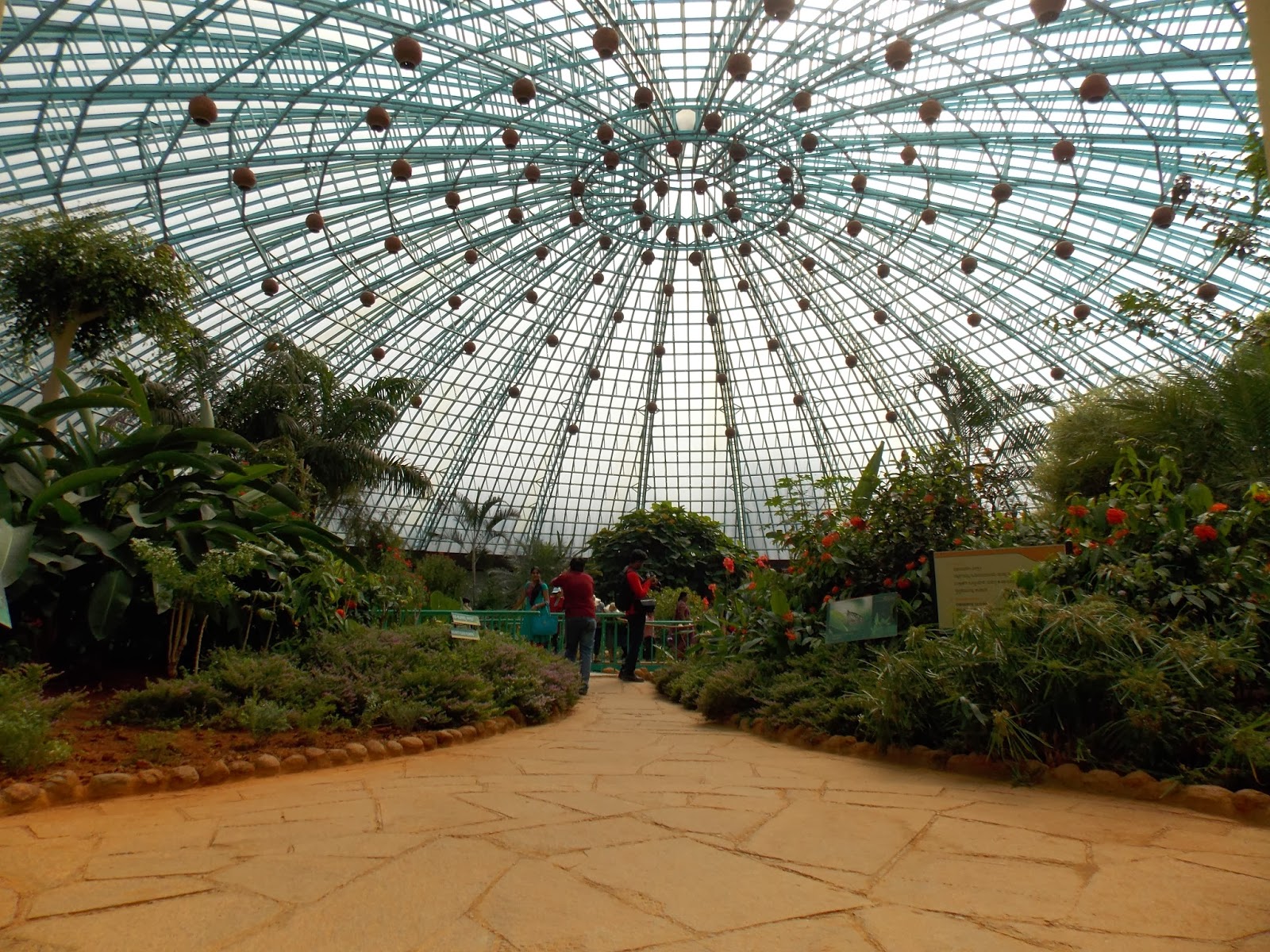 Reflection Bangalore's Butterfly Park