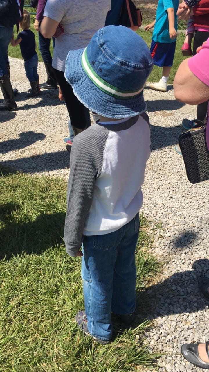 This Kansas City Mama KC Fun Strawberry Picking at Gieringer Orchard