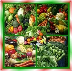Resep Masakan Sederhana Berbahan Dasar Sayur-Sayuran resep sayuran