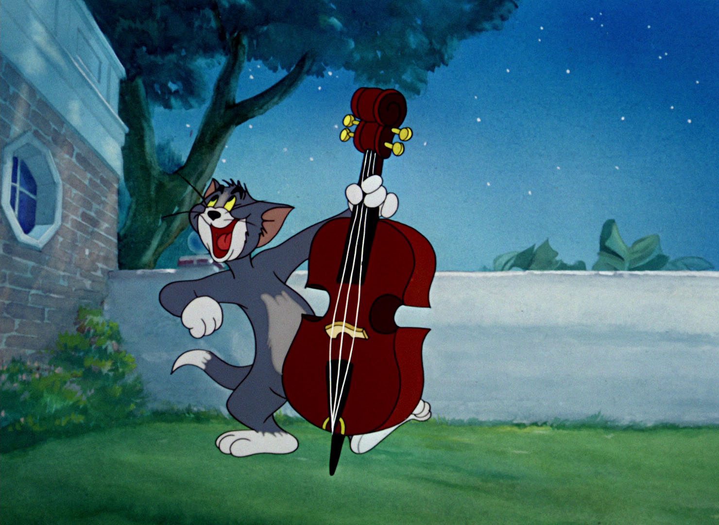 Сказки басс. Том и Джерри шумная Серенада. Том и Джерри контрабас том. Том и Джерри том поет серенаду.