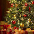 Καβάλα: Άναψε το… χριστουγεννιάτικο δέντρο στην καρδιά του καλοκαιριού! 
