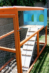 coop chicken modern chickens right