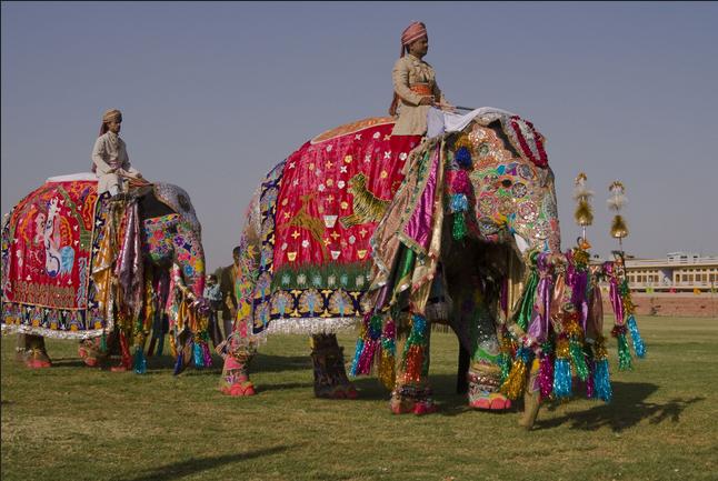 elephant+festival+jaipur-+2.JPG