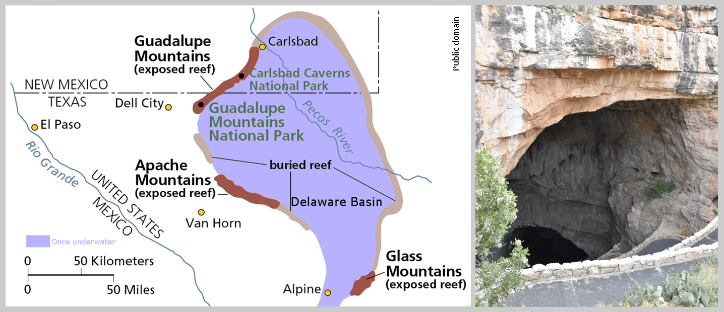 map of the ancient permian limestone reef system that includes present day carlsbad caverns at left source and the natural entrance to the caverns at map of the ancient permian limestone reef system that includes present day carlsbad caverns at left source and the natural entrance to the caverns at