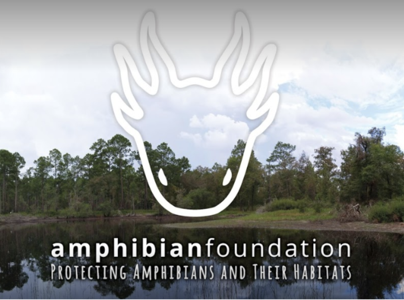 First Amphibian Foundation Calendar Now Available for 2018