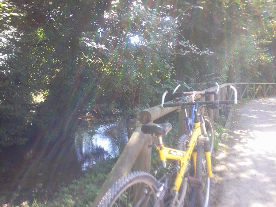 trucos-no-engordar-verano