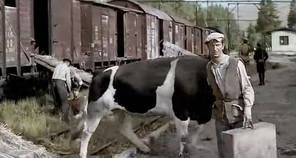 jak rozpetalem II wojne szklarska jak rozpetalem II wojne