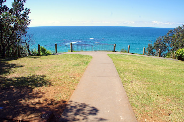 harrys lookout